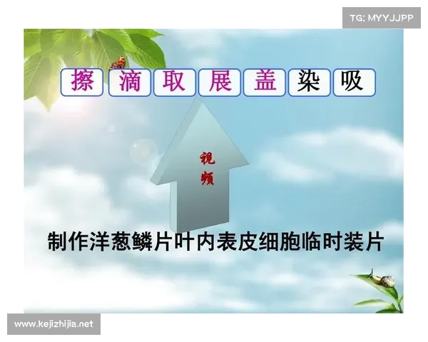 冰虫鳞片结构与功能特性研究及其在生物学中的应用探讨 冰虫鳞片结构与功能特性研究及其在生物学中的应用探讨