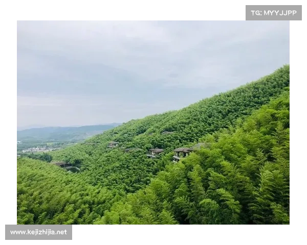 御龙在天:热泉疗养,身心舒畅 御龙在天:热泉疗养,身心舒畅