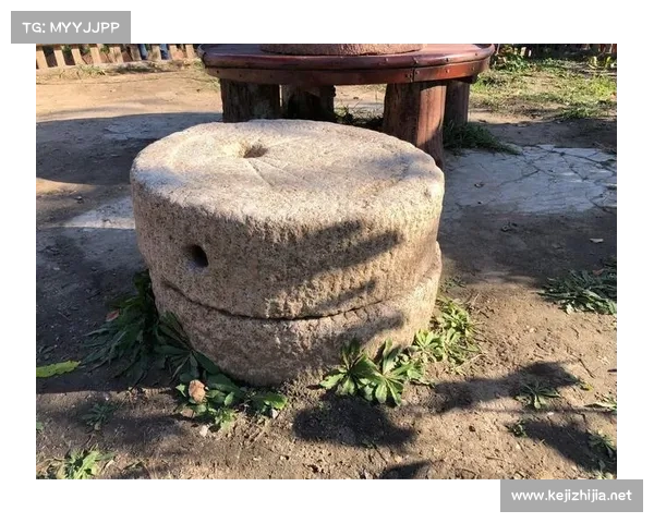 从真实历史到虚拟记忆浅析刺客信条中历史与虚拟世界的交织关系 从真实历史到虚拟记忆浅析刺客信条中历史与虚拟世界的交织关系