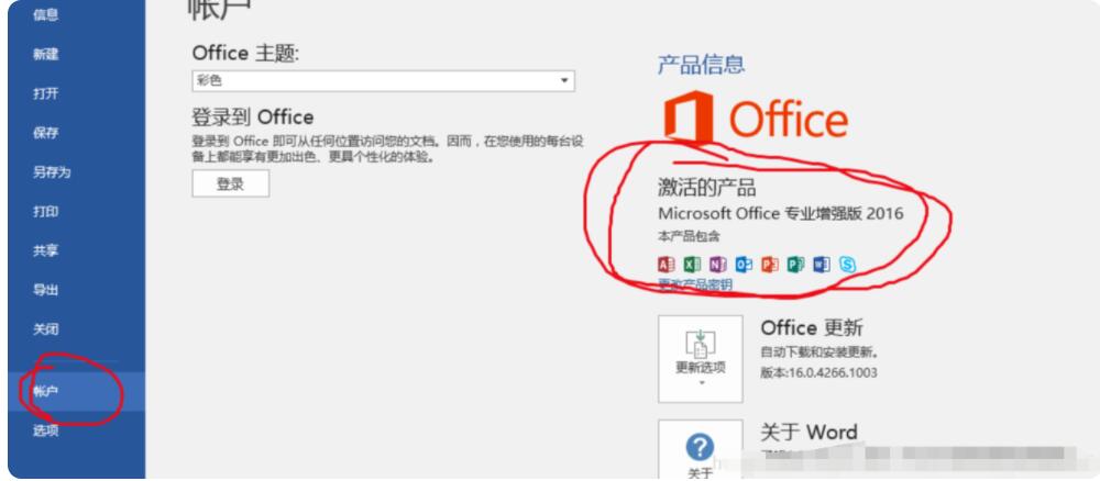 正版 Office2021 激活密钥 Office2021 永久激活码